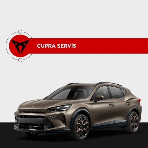 Cupra Özel Servis